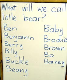 Early reading and writing - bear names.