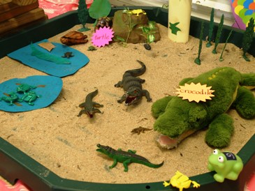 Crocodile habitat
