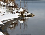 Lake reflections
