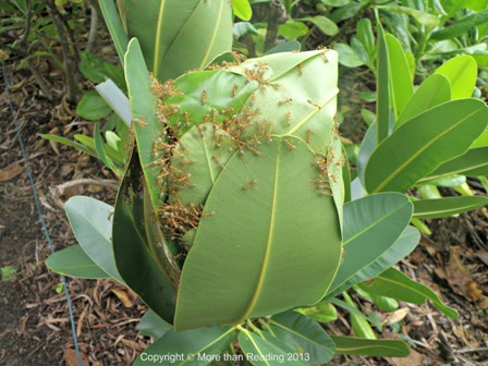 ???????????????????????????????