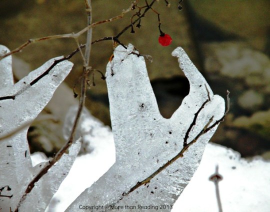 ??????????????????????