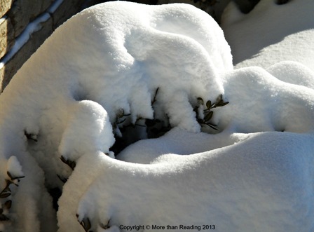 ???????????????????????????????