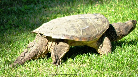 ??????????????????????