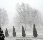 ??????????????????????