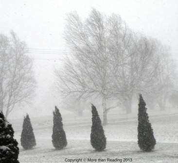 ??????????????????????