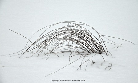 ???????????????????????????????