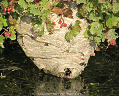 ???????????????????????????????