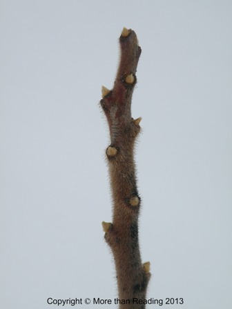 ???????????????????????????????