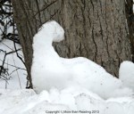 ???????????????????????????????