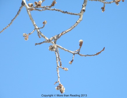 ???????????????????????????????