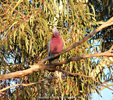 ???????????????????????????????