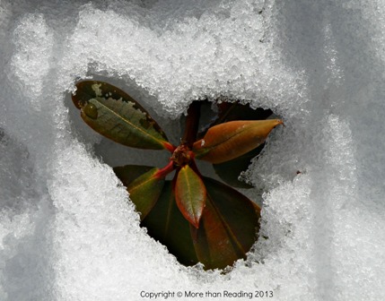 ???????????????????????????????