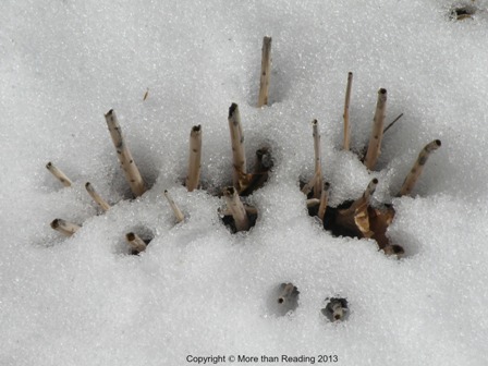 ???????????????????????????????