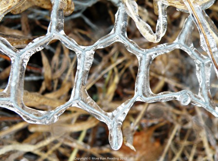 ???????????????????????????????