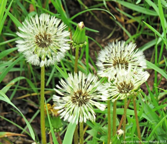 ???????????????????????????????