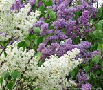 ???????????????????????????????