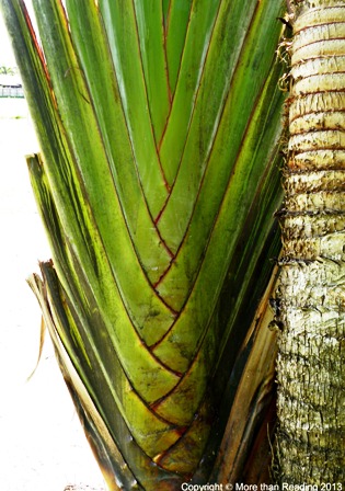 ???????????????????????????????