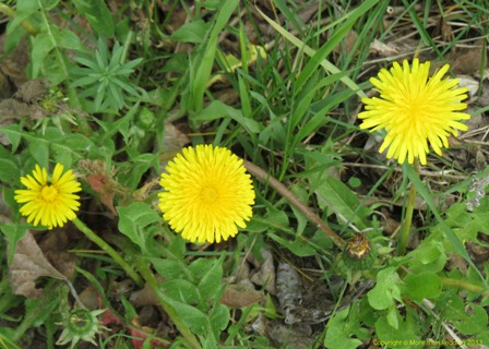 ???????????????????????????????