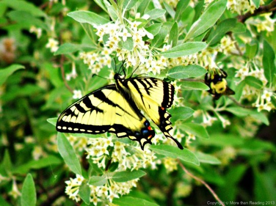 ??????????????????????