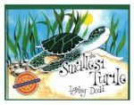 The Smallest Turtle