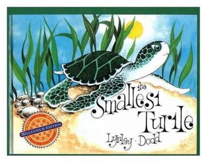 The Smallest Turtle