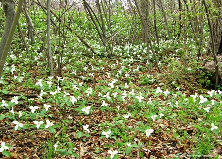 ???????????????????????????????