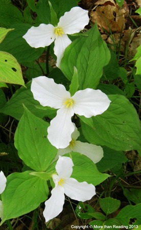 ???????????????????????????????