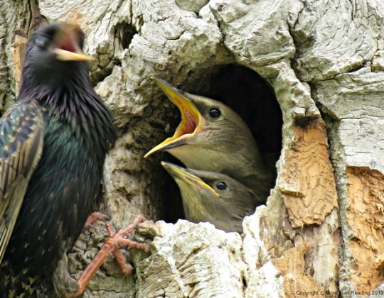 ???????????????????????????????