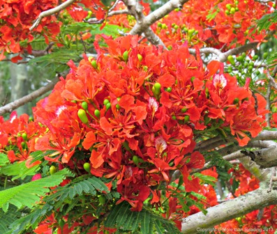 ???????????????????????????????