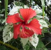 ???????????????????????????????