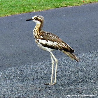 ???????????????????????????????