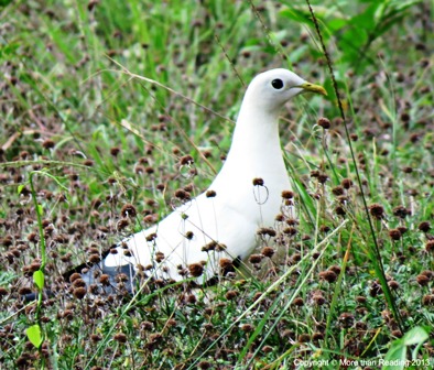 ???????????????????????????????