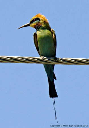 ???????????????????????????????