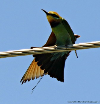 ???????????????????????????????