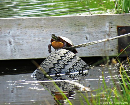 ???????????????????????????????