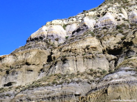 ???????????????????????????????