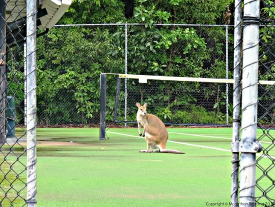 ???????????????????????????????