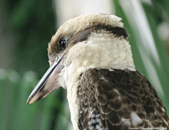 ???????????????????????????????